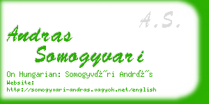 andras somogyvari business card